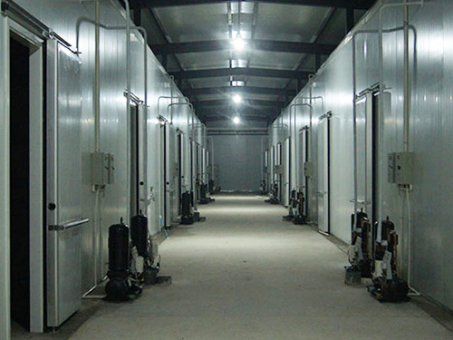 關于我們 關于我們